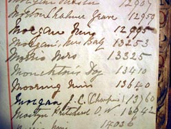 Negative Book Entries